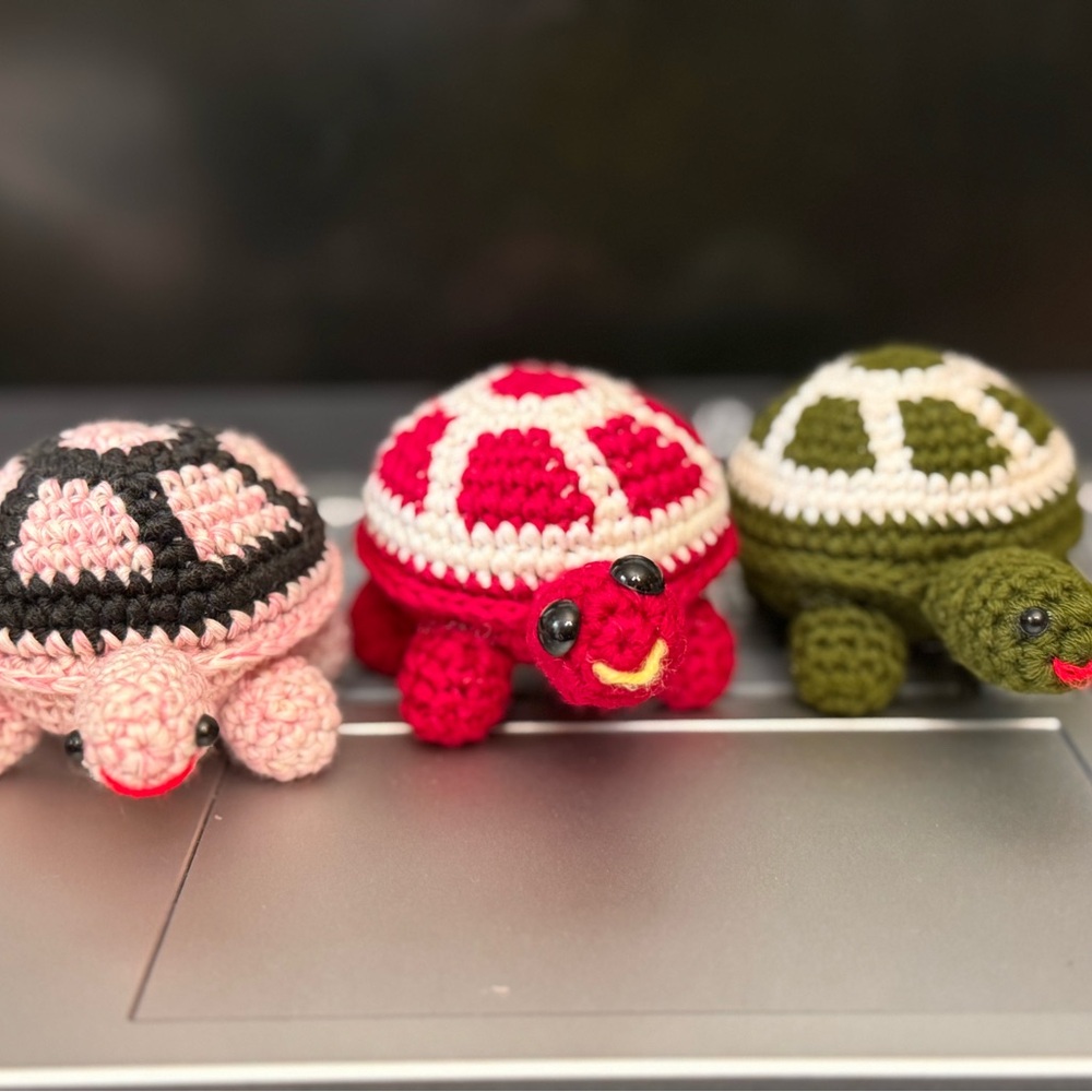 Crocheted Turtle (3 )